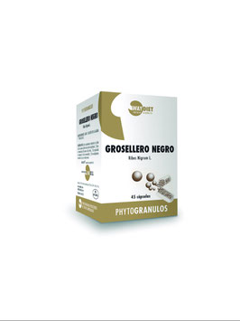 Grosello Negro