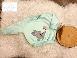 Pulli Hase