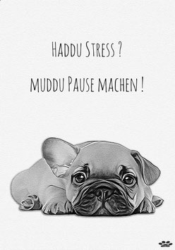 003 - Poster 50 cm B x 70 cm H "Haddu Stress" 170 Gramm Bilderdruck matt