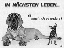 002 - Poster 100 cm B x 70 cm H "Im nächsten Leben" 170 Gramm Bilderdruck matt
