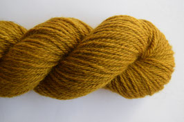 Lichen (Aran)