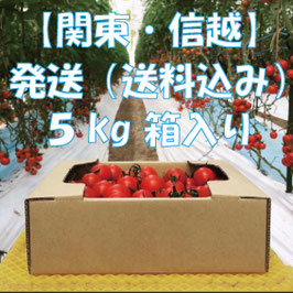 【発送・関東/信越】ミニトマト　５kg（箱入り）