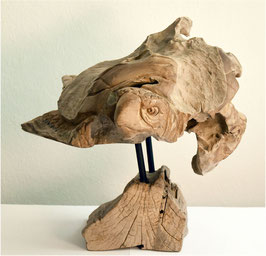 Schildkröte Skulptur Teakholz