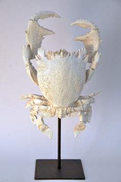 Krabbe, maritimes Designobjekt handmade