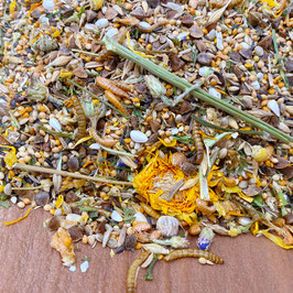 Zwerghamster Zwergenzauber 500g von Mixerama