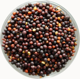 Rübsen (dunkel)