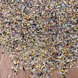Degus SAB Saatenmischung 1.000g von Mixerama