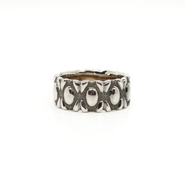 Ringmodell Space
