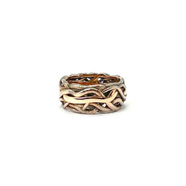 Ringmodell Unendliche Geschichte in Rotgold