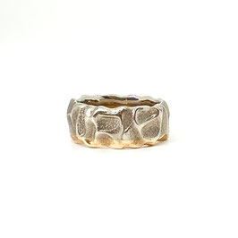 Ringmodell Düne, bicolor