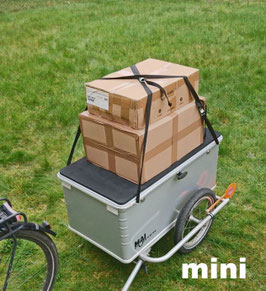 Spannriemen original Arno