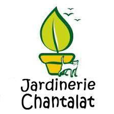 AGAPANTHES COLLECTION®