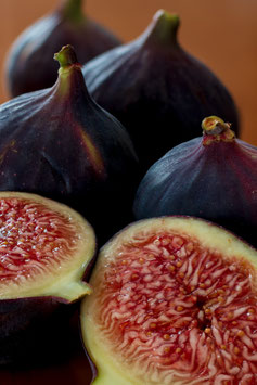 FIGUIER - FICUS CARICA "ROUGE DE BORDEAUX" - DEMI-TIGE