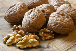 NOYER "FRANQUETTE" - JUGLANS REGIA ¤