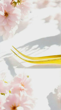 Volumen Pinzette Gold oder multicolor