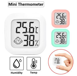 Mini Thermometer /Hygrometer