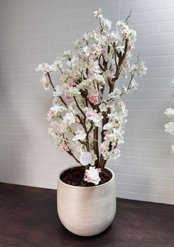 Essence Blossom White/Pink