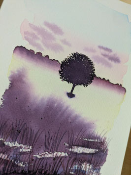 Workshop "Mystische Naturbilder"