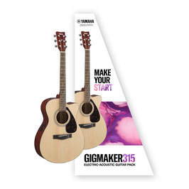 Electric Acoustic GIGMAKER315 Pack