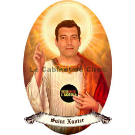 Saint Xavier Dupont de Ligonnes
