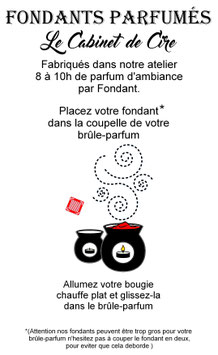 Lot de 20 Fondants
