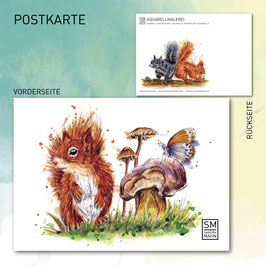 Postkarte "Eichhörnchen | squirrel" – quer