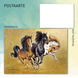 Postkarte "Pferde | horses"