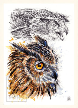 UHU | eagle-owl | A4
