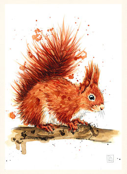 EICHHÖRNCHEN | red squirrel | A4
