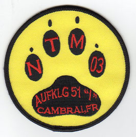German Air Force patch AG 51 NATO Tiger Meet 2003 Tornado ECR
