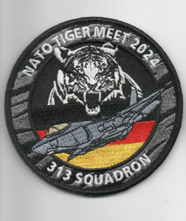Royal Netherlands Air Force patch 313 Squadron F-35A NTM 2024 Schleswig-Jagel