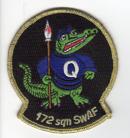 Swedish Air Force patch 2 Division / F17 Wing JA37 Viggen   - obsolete -