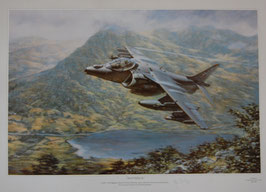 Aviation Art Print - ´MAVERICK´ - RAF No.20 (R) Sqn Harrier by Ronald Wong; signed by Mr. John farley, Harrier Chief Test Pilot 1983