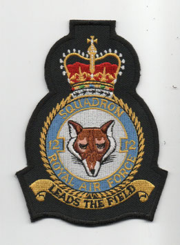 Royal Air Force crest patch No.12 Squadron Tornado GR.1A period