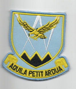 South African Air Force patch 15 Squadron