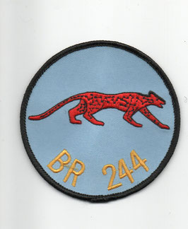 French Air Force patch Escadrille BR 244 ´Léopard´ ER 1/33 ´Belfort´ Mirage F.1CR
