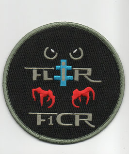 French Air Force patch Mirage F.1CR