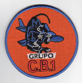 Argentinian Air Force patch Grupo de Caza-Bombardeo 1
