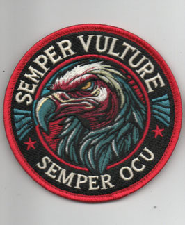 Belgian Air Force patch OCU Operational Conversion Unit   - disbanded -
