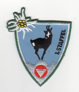 Patch 1. Staffel / Überwachungsgeschwader (1st Sqn / Surveillance Wing) Saab Draken period