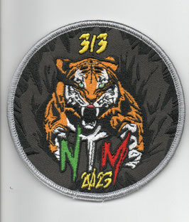 Royal Netherlands Air Force patch 313 Squadron NTM 2023 Gioia del Colle