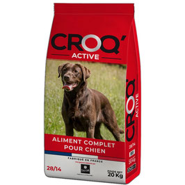 Croquettes Croq'activ 20 kg