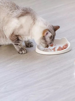 Gamelle MEOOW pour chat - Gris