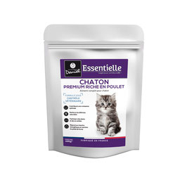 Essentielle chaton