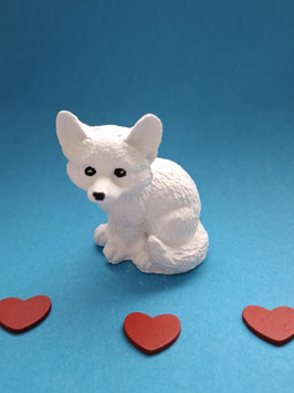 Kleiner Fuchs Benni