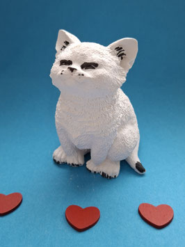 Katze Milli