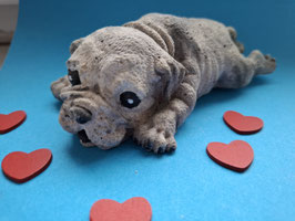 Liegende Französische Bulldogge