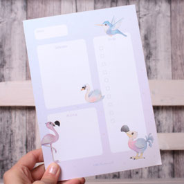 Tagesplaner A5 "bunte Vögel"
