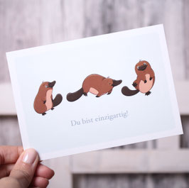Postkarte Schnabeltiere "Du bist einzigartig!"
