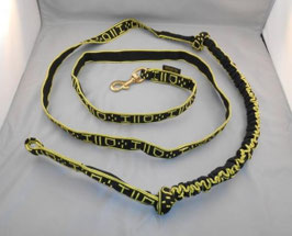 Jöringleine 1 Hund (Schlauchband)